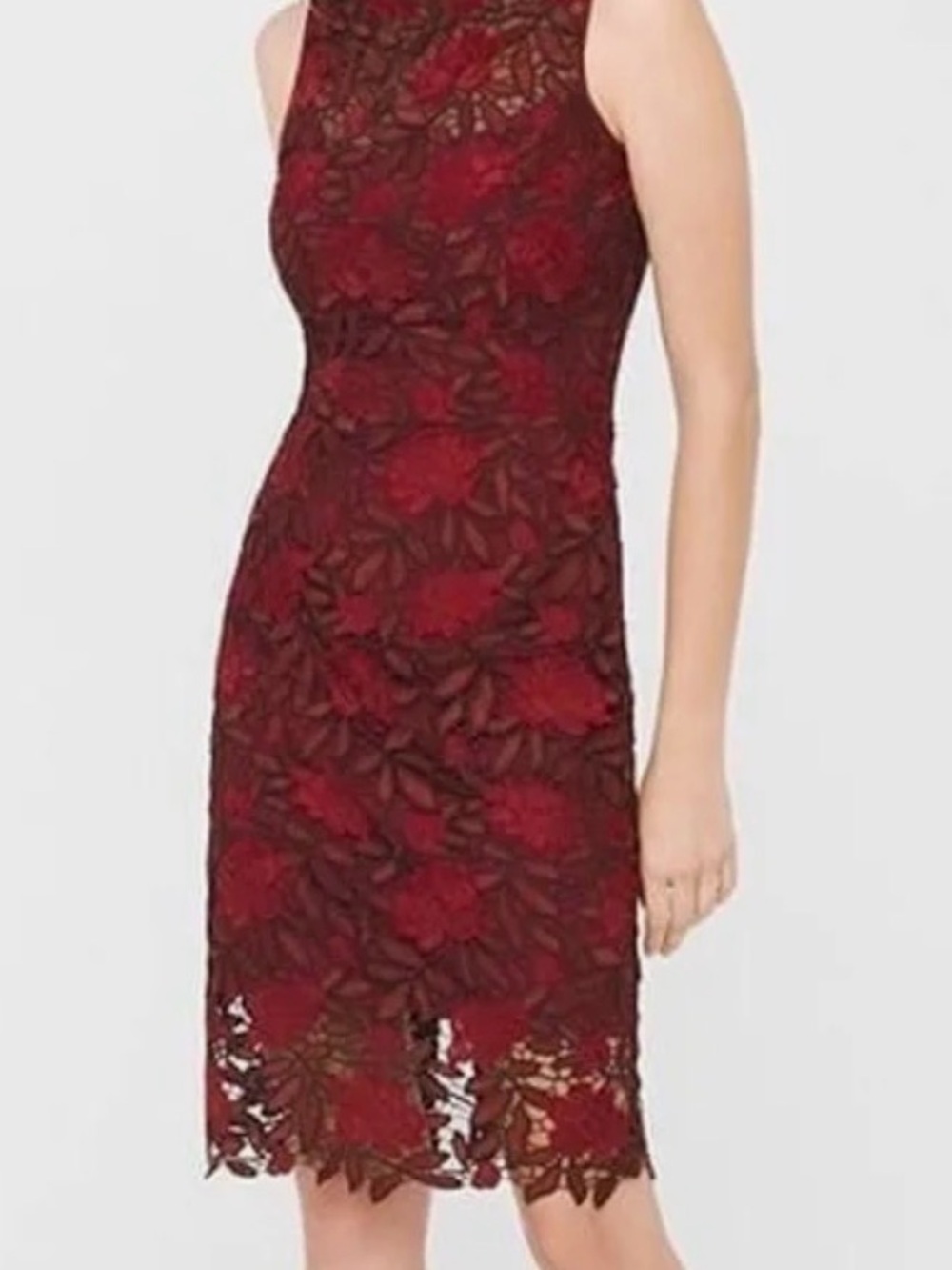 White House Black Market Tonal Lace Sheath Dress Size 4 Beautiful NWOT